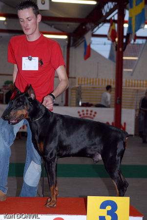 gal/Expo janvier 2007/KD1_0068.jpg